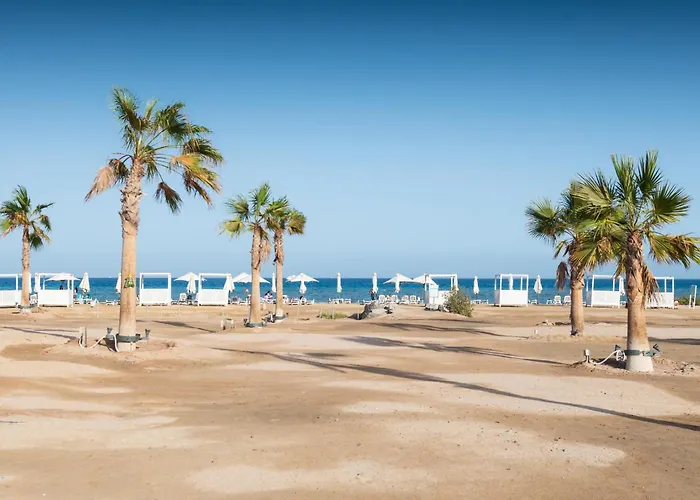 Bright & Breezy 1 Bedroom Mangroovy W Pool & Access Apartment *